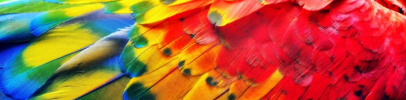 Bildkarussell - Bild  1